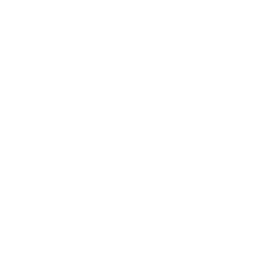 Maidaan Football